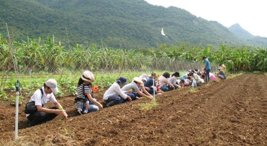 自然と触れ合える♪SUSTAINAの農園ツアー